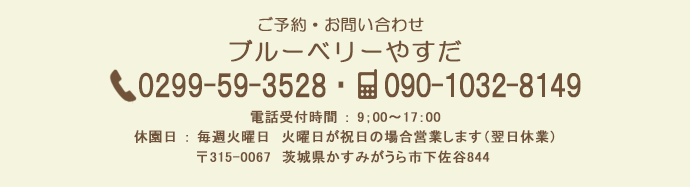 ブルーベリー狩り・ブルーベリー商品のご購入は茨城県